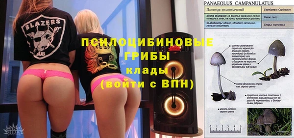 молекула духа Видное
