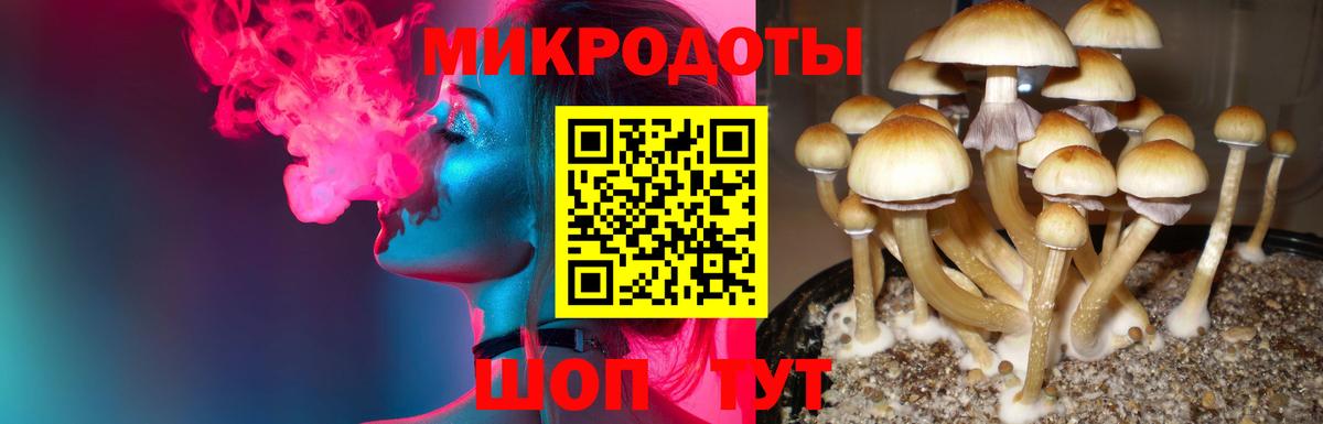 Галлюциногенные грибы прущие грибы Верхняя Салда